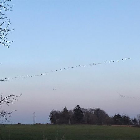 Au Milieu De Nulle Part Chambres Au Lac Du Der Outines Kültér fotó
