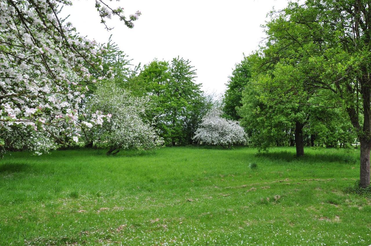 Au Milieu De Nulle Part Chambres Au Lac Du Der Outines Kültér fotó